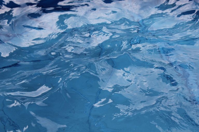 Crystal clear backyard pool in Flagler County